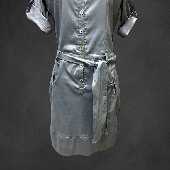 112 - Ruscoe X-Large Silver Dress - Picture 8 of 15